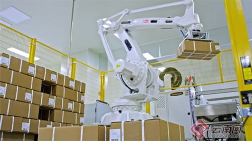 云南生物醫藥產業崛起 從血液制品到疫苗，本土生物技術“強身健體”新篇章